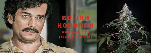 эйфоретик Пересвет