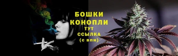 гидропоника Балабаново