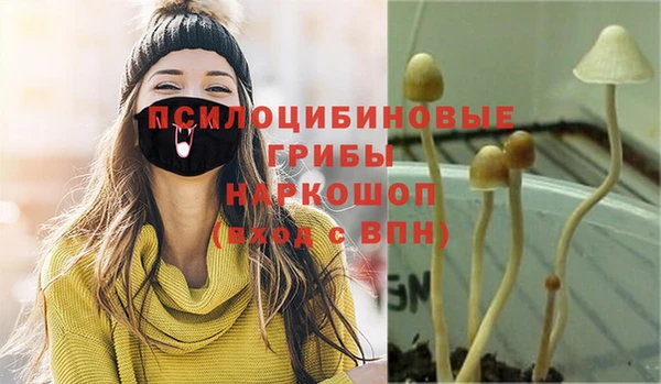 прущая мука Баксан