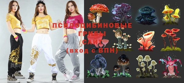 гидропоника Балабаново
