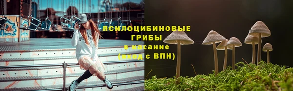 гидропоника Белоозёрский