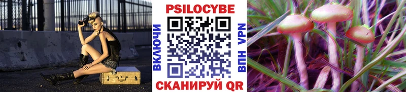 Псилоцибиновые грибы мицелий  Обь 